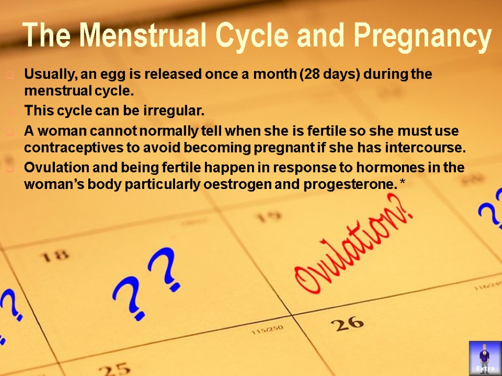 The Menstrual Cycle and Pregnancy Usually, an egg is released once a month (28